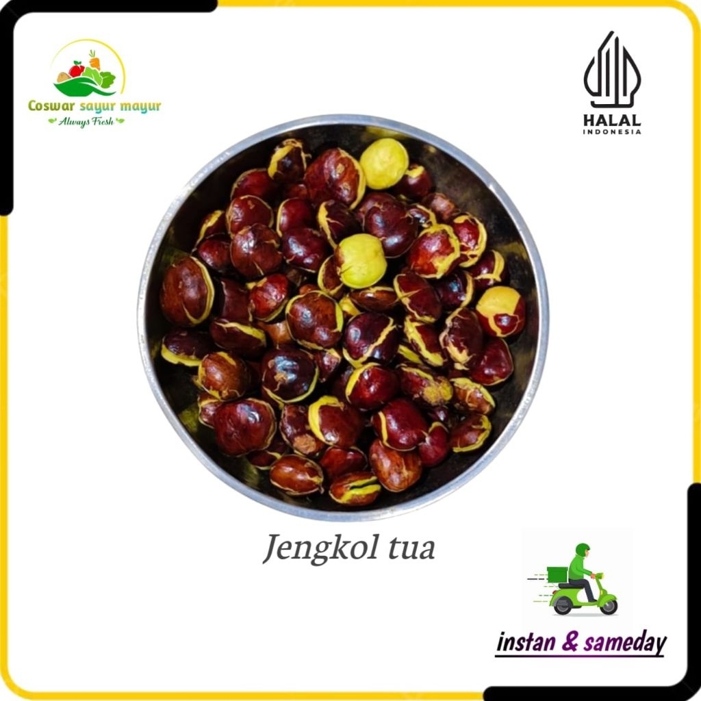 

{ 500 gram } jengkol tua legit sayuran segar jengkol kualitas terbaik