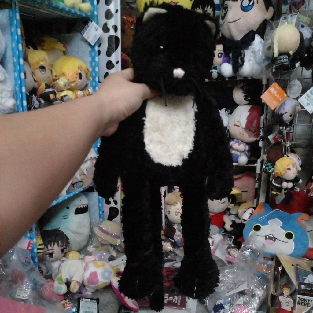 (rare) Boneka / Plush Pickles Jellycat Black White Cat ORIGINAL