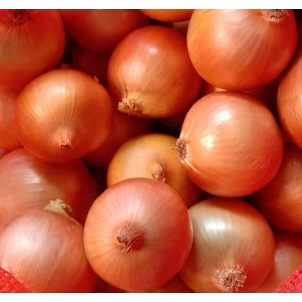 

BAWANG BOMBAY SUPER 1KG