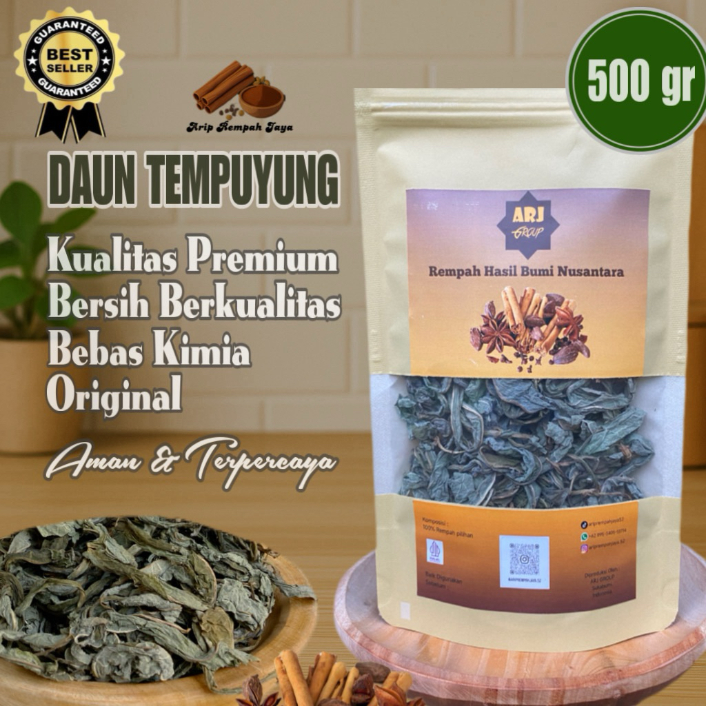 

Daun Tempuyung Kering 500 gram || Murni Daun Tanpa Batang