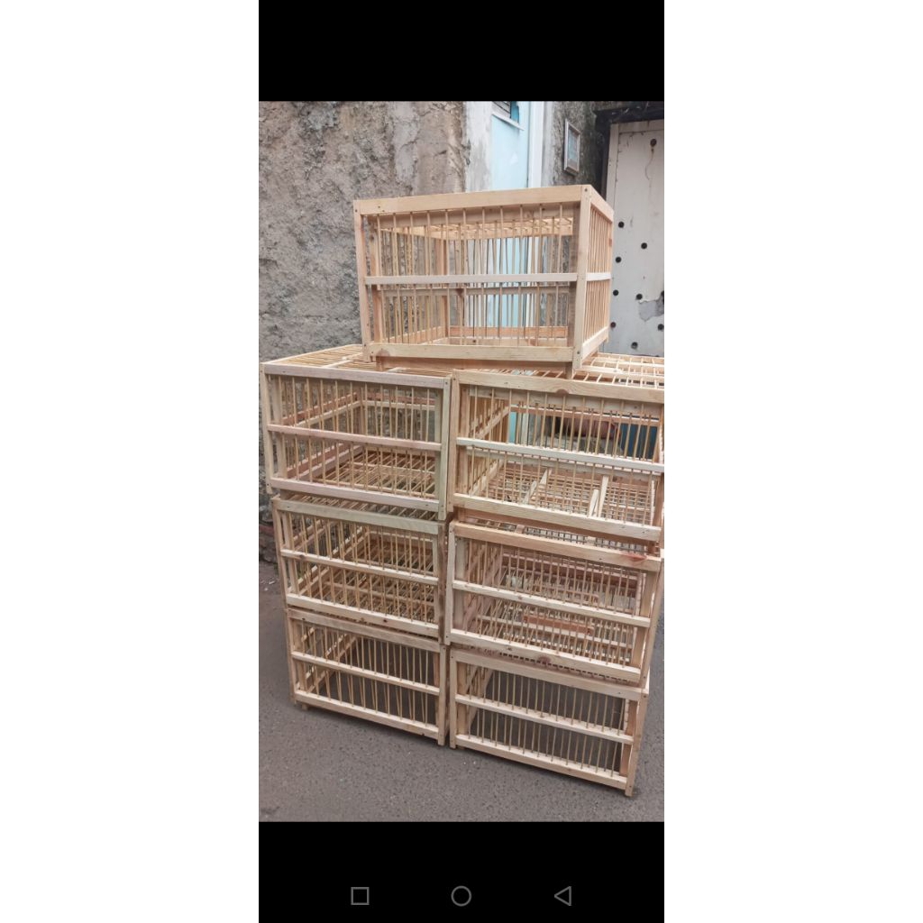 KURUNGAN MERPATI ATAU DARA KAYU JATI LANDAN DAN KAYU PINUS MURAH DAN KOKOH