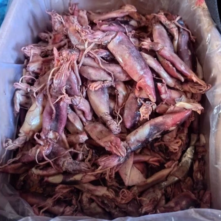 

CUMI ASIN SUPER 1 ONS (100 GRAM)