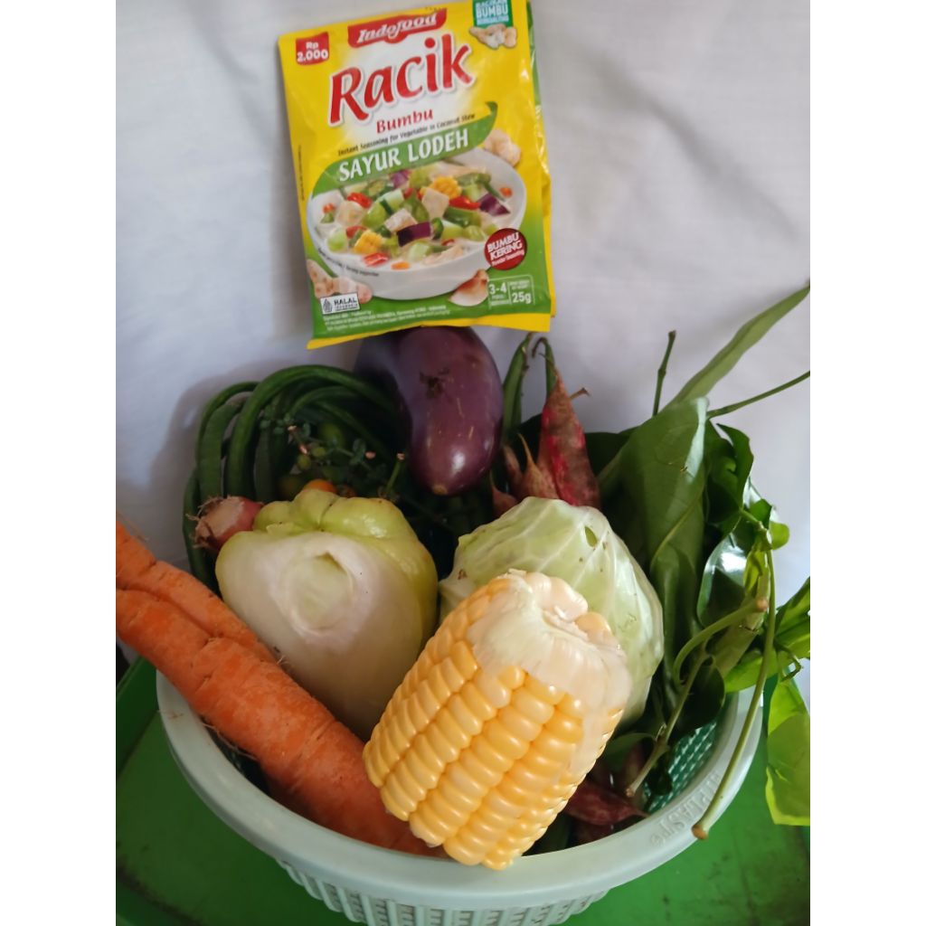 

sayur lodeh segar, sayuran segar plus bumbu racik