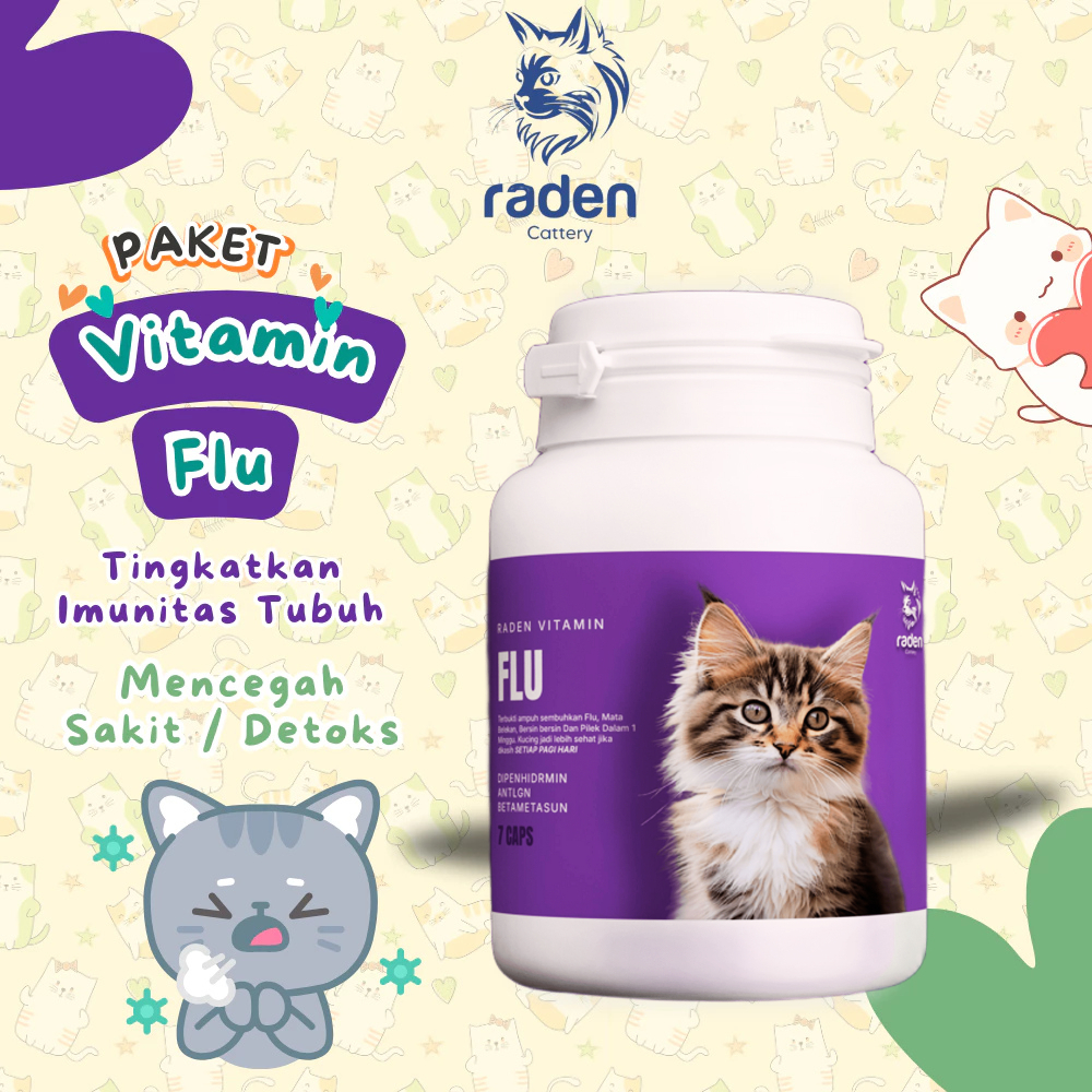 Raden Vitamin Kucing Paket Vitamin Flu Isi 7 Kapsul - Atasi Masalah Flu Pada Kucing