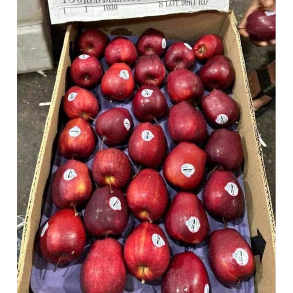 

APEL MERAH PREMIUM ( 900gr - 1kg )