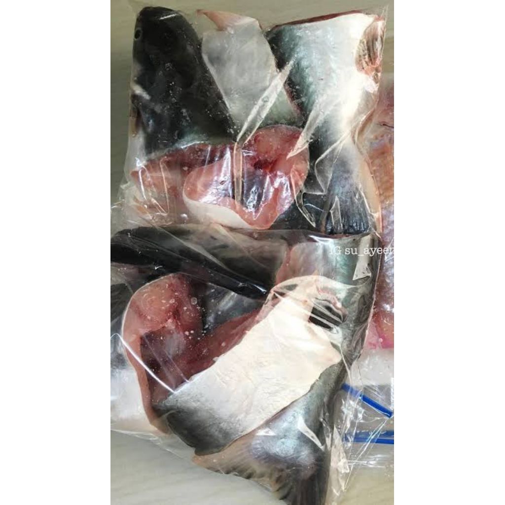 

ikan patin potong dadakan 500 gr fresh bersih ⭐⭐⭐⭐⭐⭐