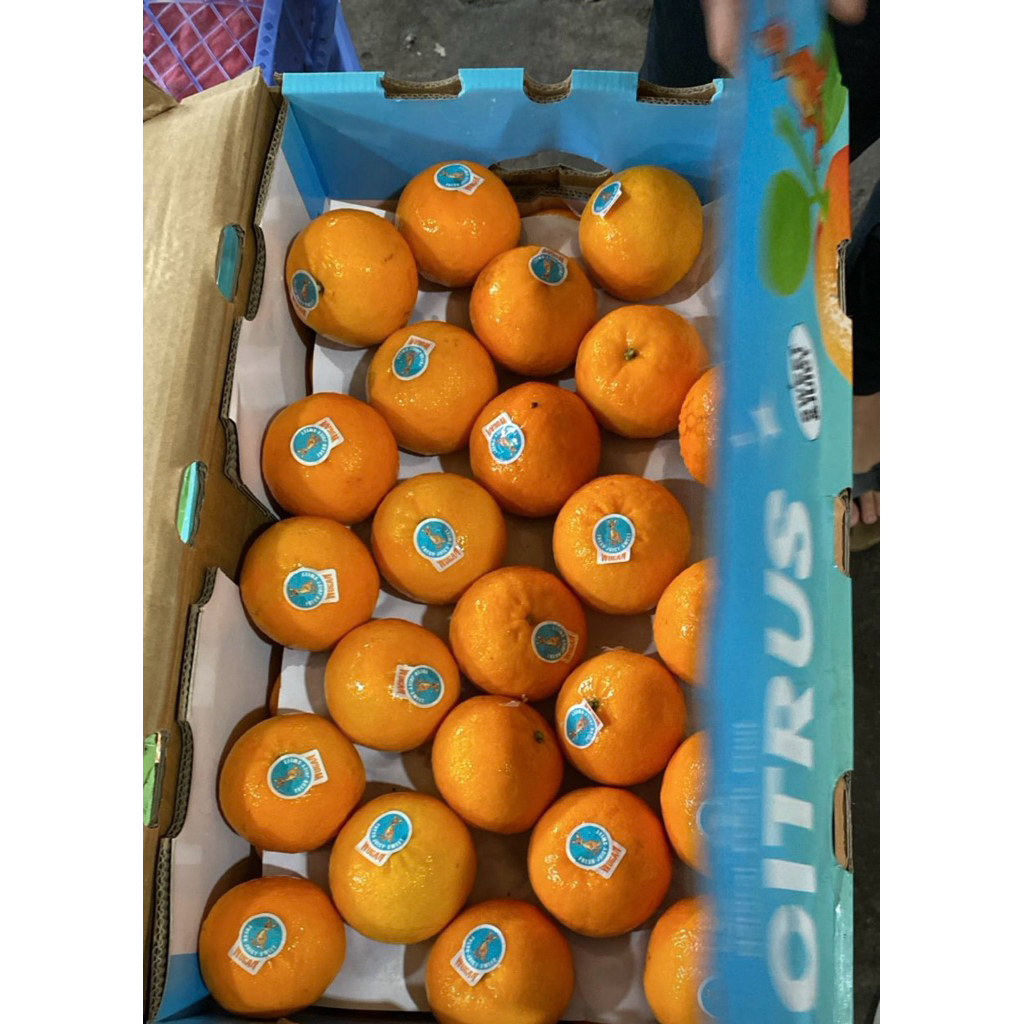 

Jeruk Wogan Fresh Manis