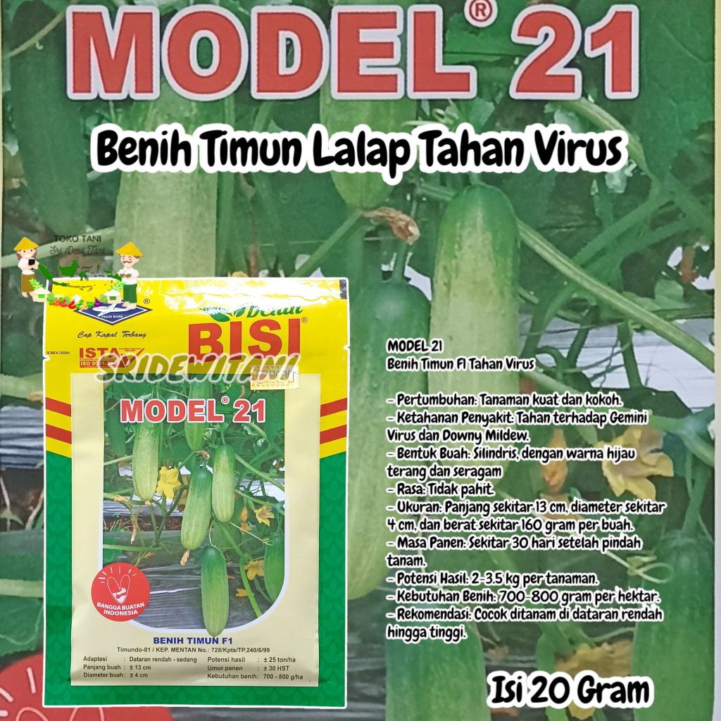 Model 21 F1 Isi 20 Gram Cap Kapal Terbang Bibit Benih Timun Lalap Tahan Virus Setara Saena Bintang A