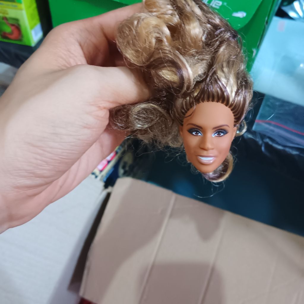 kepala barbie/ kepala barbie kolektor/ kepala barbie collector/ barbie preloved/barbie looks/barbie 