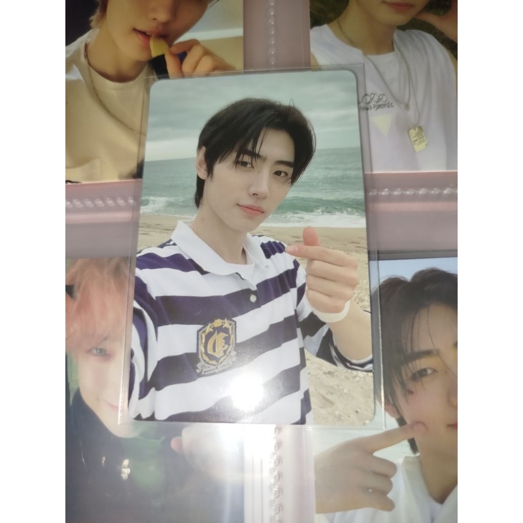 Sunghoon Benefit Tamed Dashed official dimension dilemma