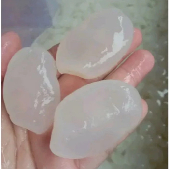 Kolang Kaling Muda Fresh 1kg - Kolang Kaling Murni