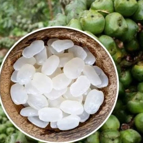 Kolang Kaling Muda Segar 1kg - Kolang Kaling Alami