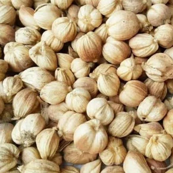 

KAPULAGA 5gr kualitas super