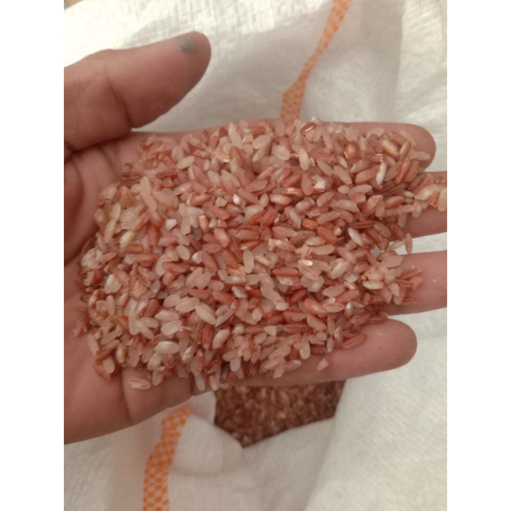 

Beras Merah, beras obat diabetes, beras sehat, beras murah, beras berkualitas