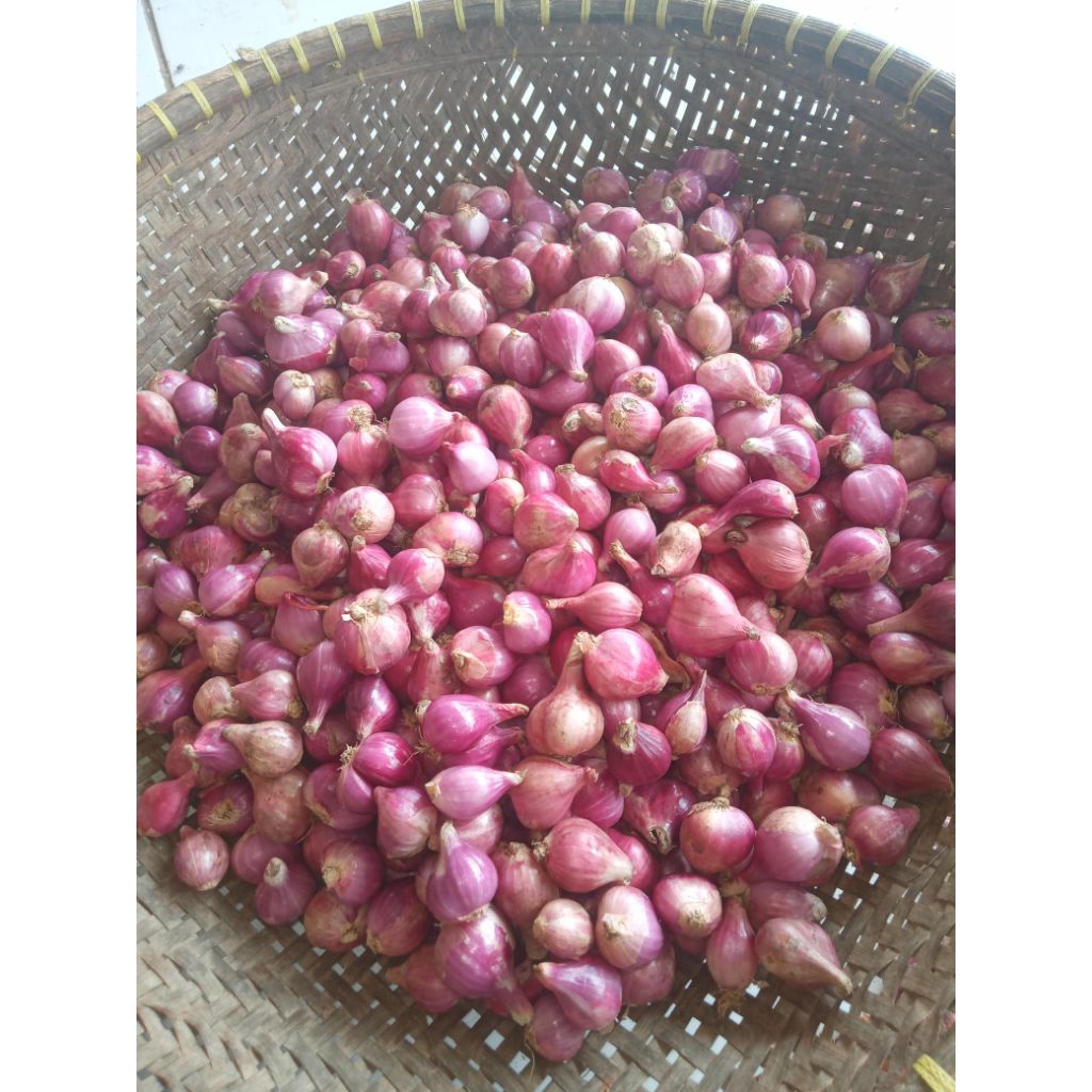 

bawang merah besar 200gr / bawang packing thinwall