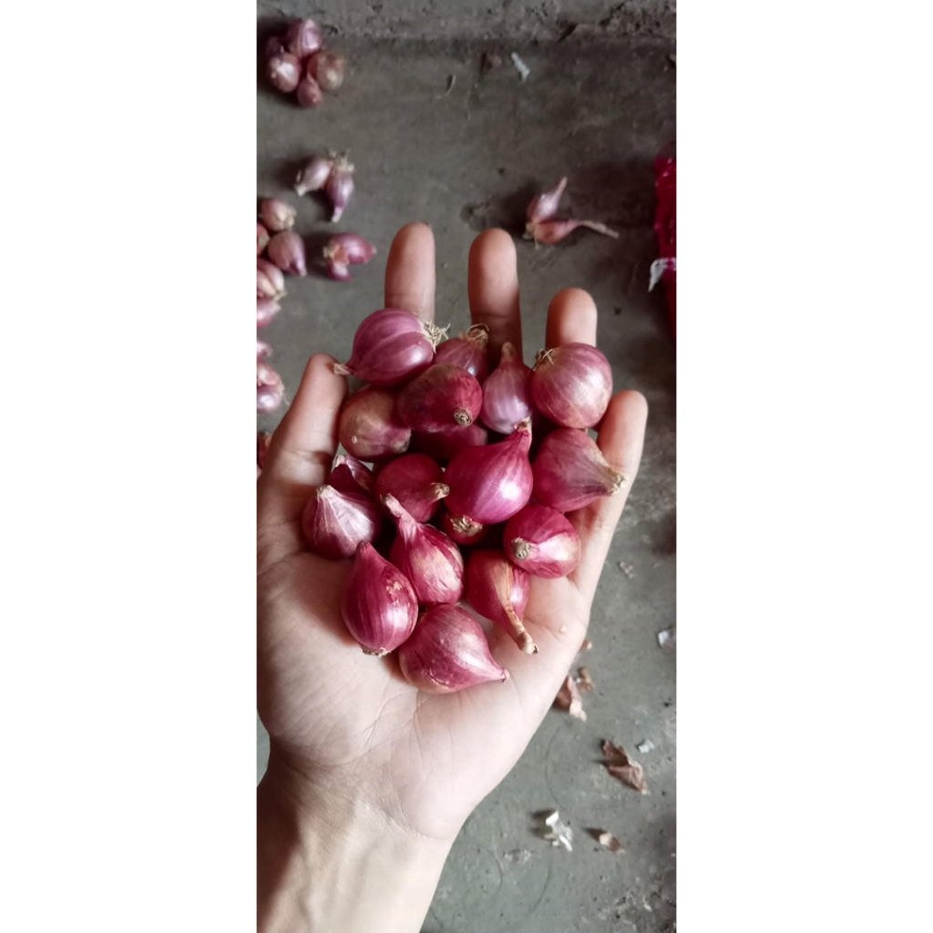 

Link co E Bawang merah bawang putih bumbon dapur