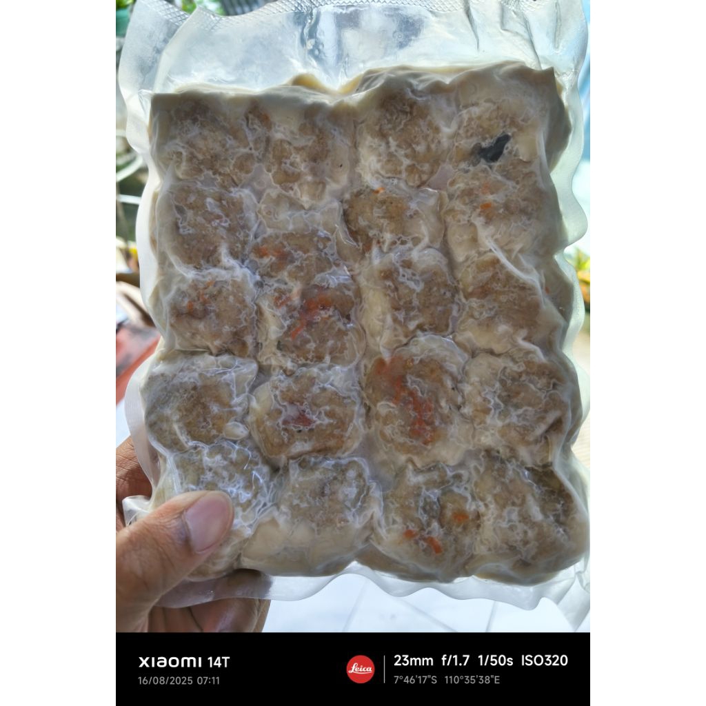 

Dimsum Frozen Spesial isi 20