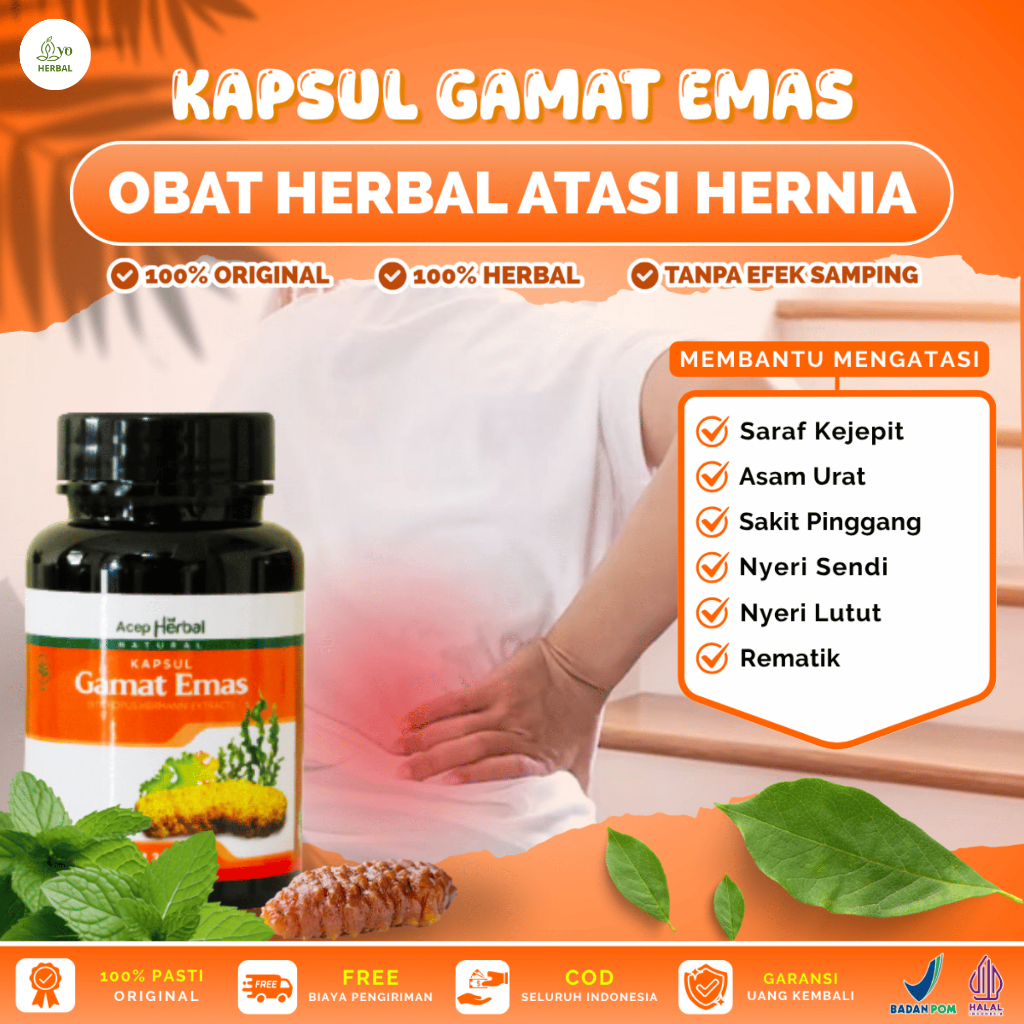Kapsul Gamat Emas Untuk Saraf Kejepit, Asam Urat, Sakit Pinggang, Radang Usus, Nyeri Lutut, Nyeri Se