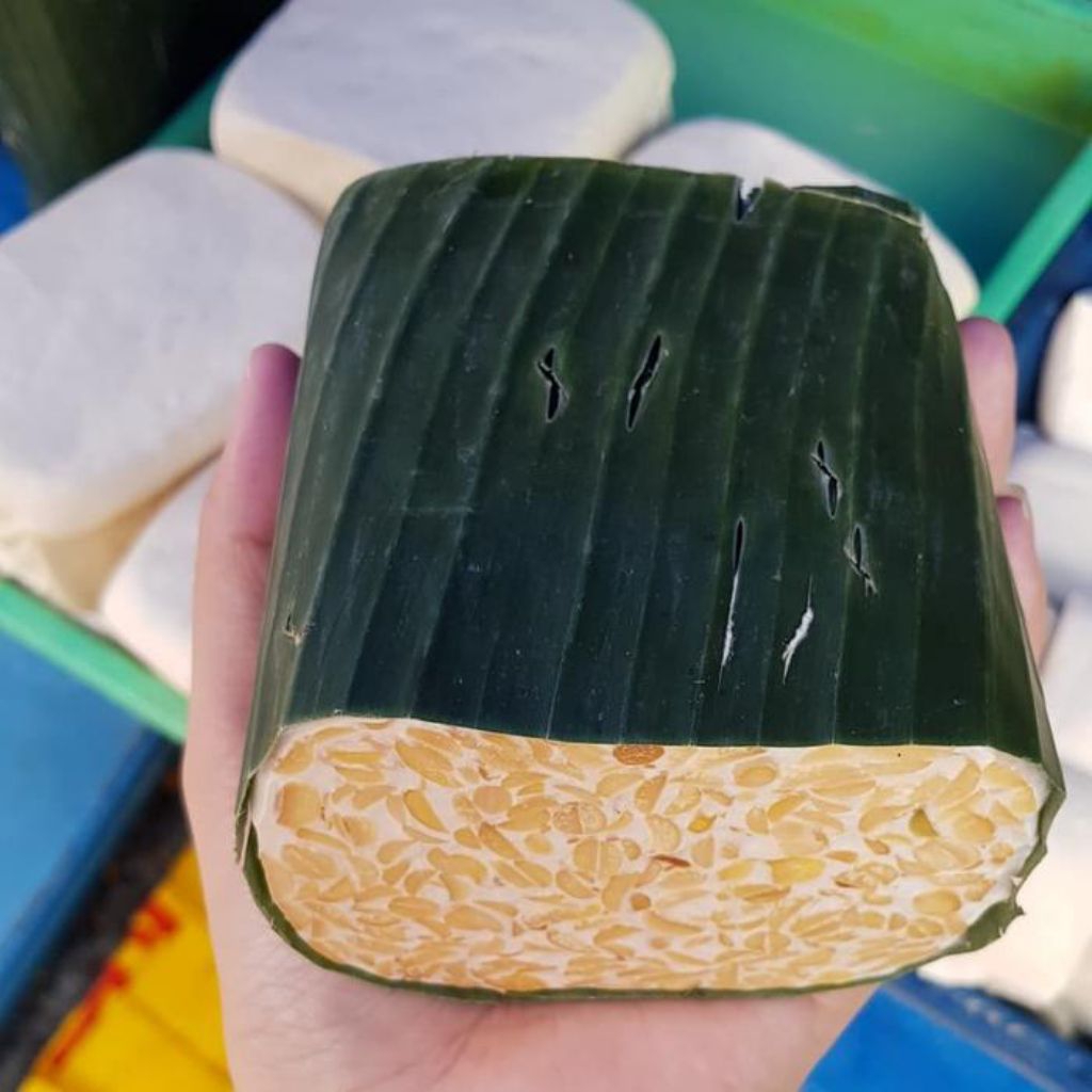 

TEMPE SETENGAH PAPAN