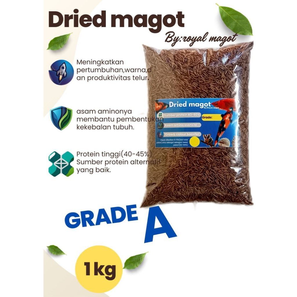 Dried magot BSF.1kg,500gr, magot kering premium