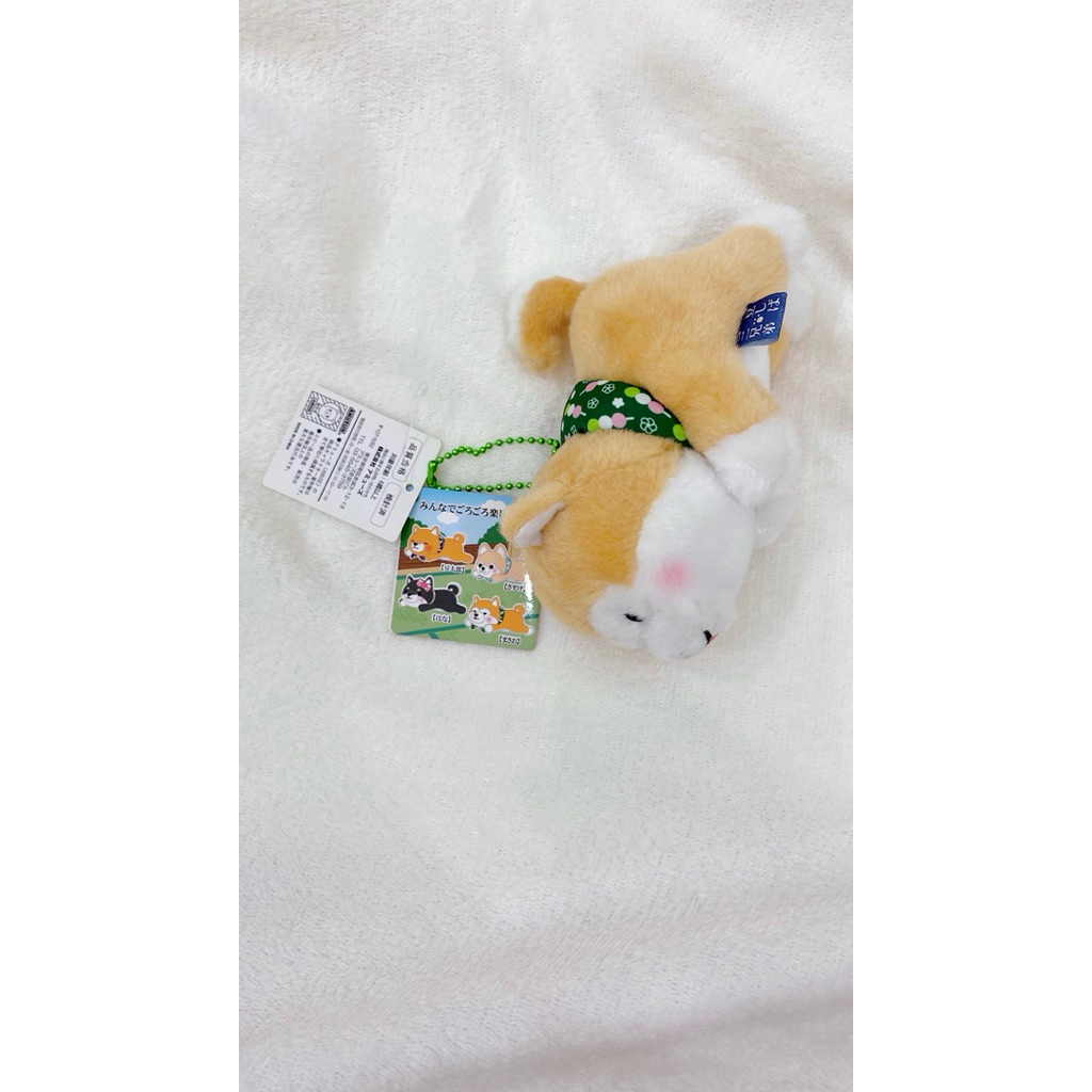 ganci boneka shiba inu boss mameshiba