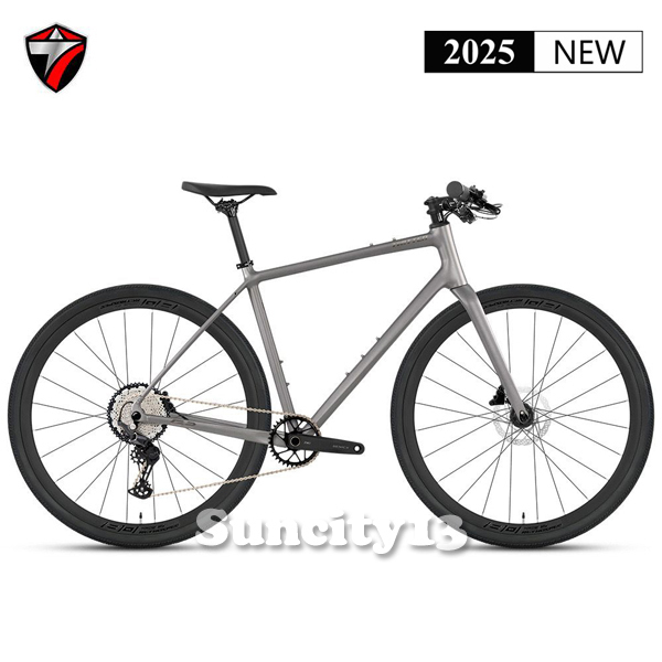 PREORDER Twitter Gravel G2 Flatbar FULL HYDRAULIC Sepeda Gravel Gravel bike