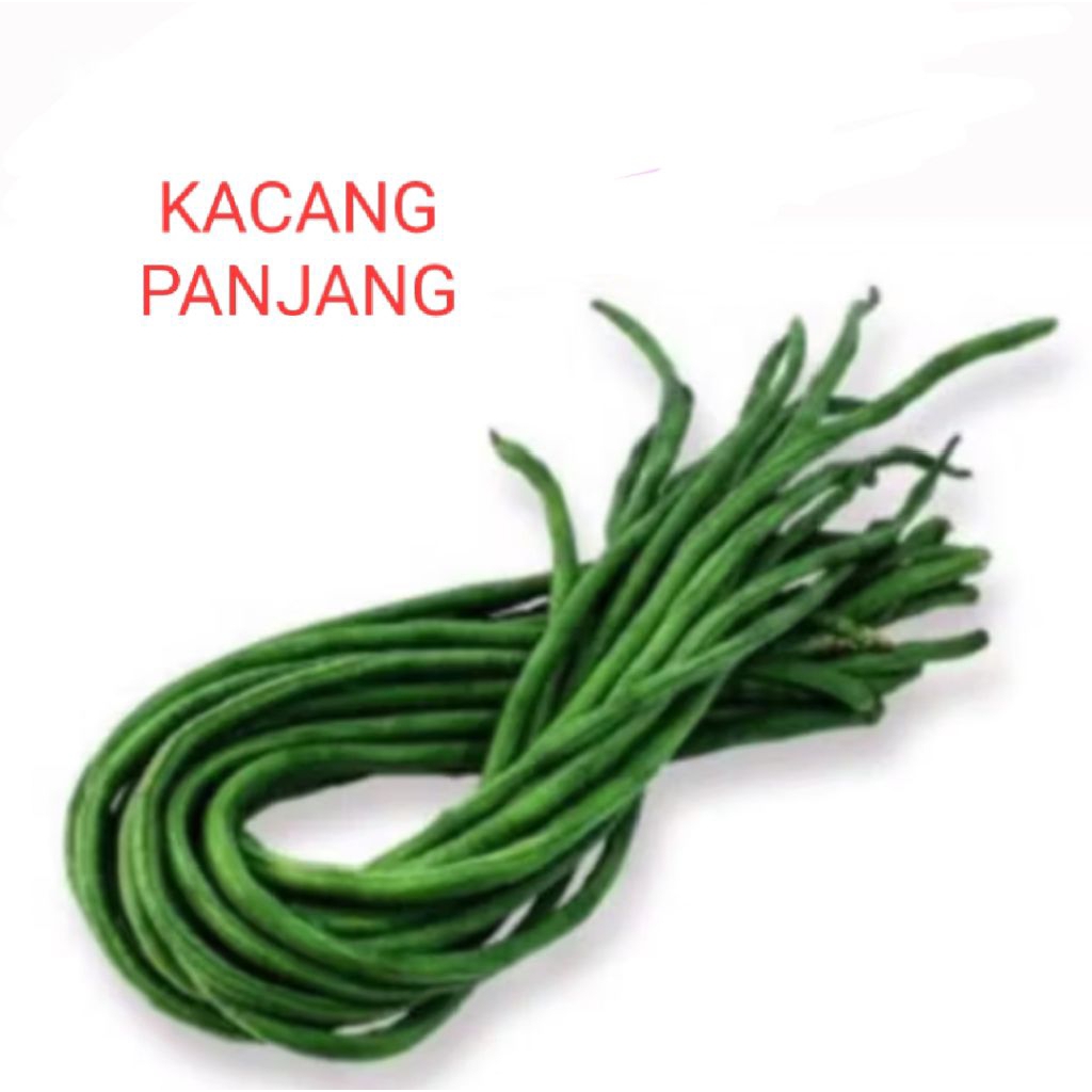 

KACANG PANJANG SERBA GOCENG, SERBA 5000