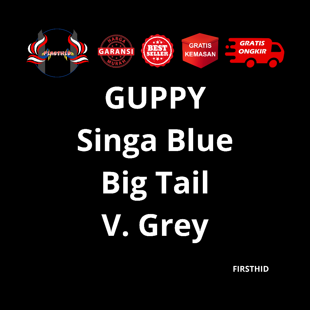 Aksesoris Akuarium GUPPY Singa Blue Diamond Big Tail