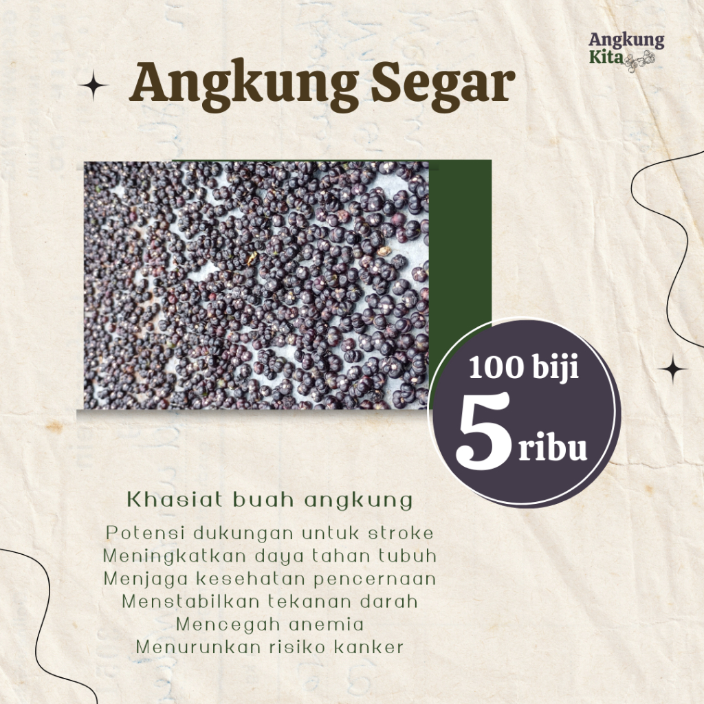 

Buah Angkung Segar Murah dengan Tangkai – 100 Biji