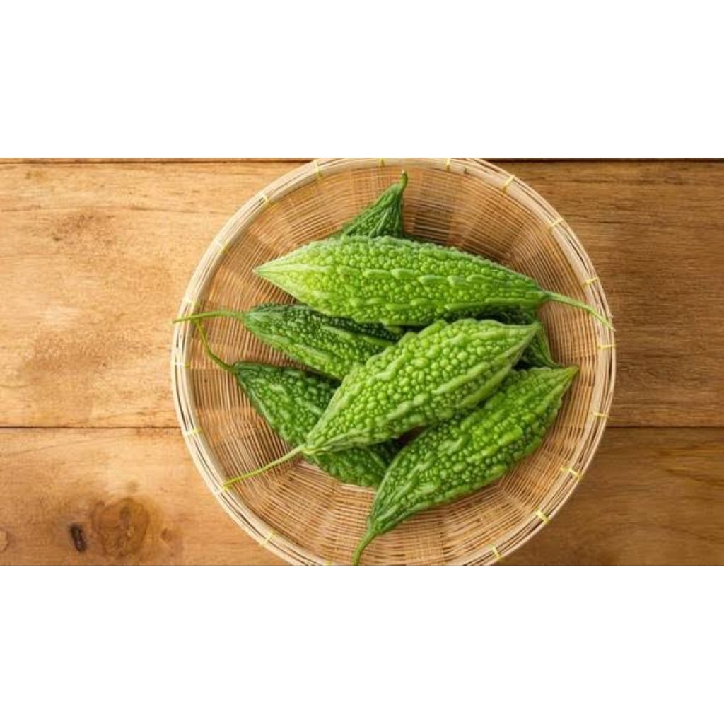 

[COD] PARE FRESH SEGAR LANGSUNG DARI KEBUN SENDIRI 1KG