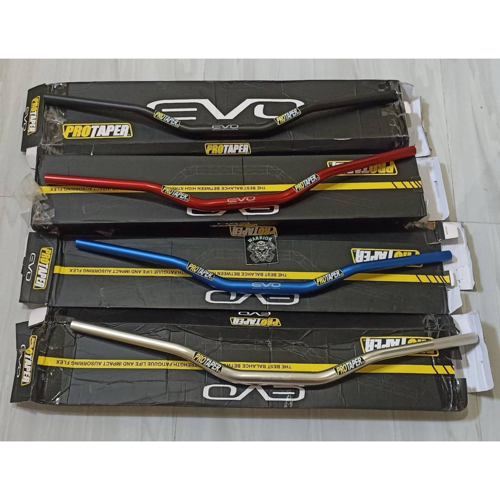 stang fatbar protaper EVO low set raiset