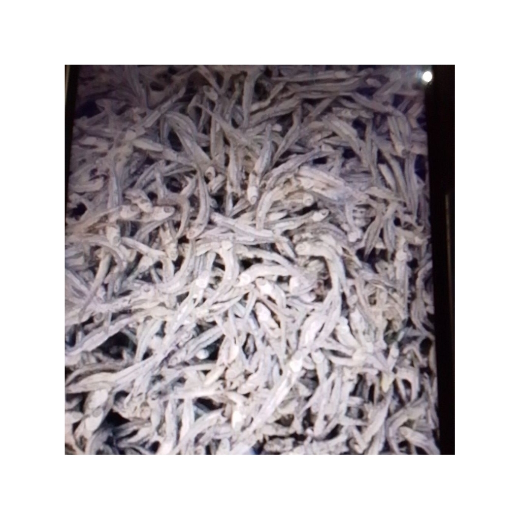 

ikan bada /ikan teri