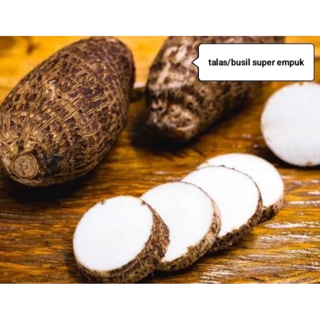 

talas/busil super empuk 1 kg