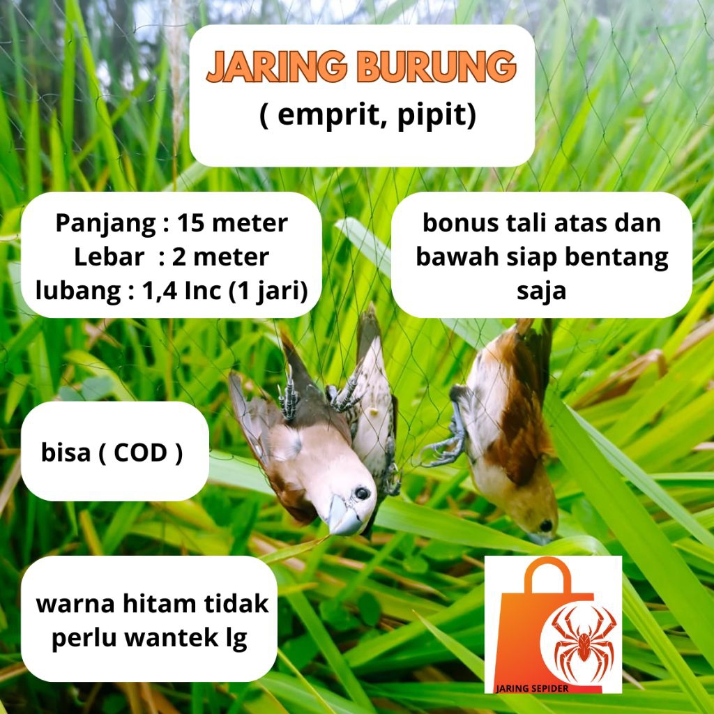 JARING BURUNG EMPRIT JARING BURUNG PIPIT SIAP BENTANG SAJA PANJANG 15 METER LEBAR 2 METER