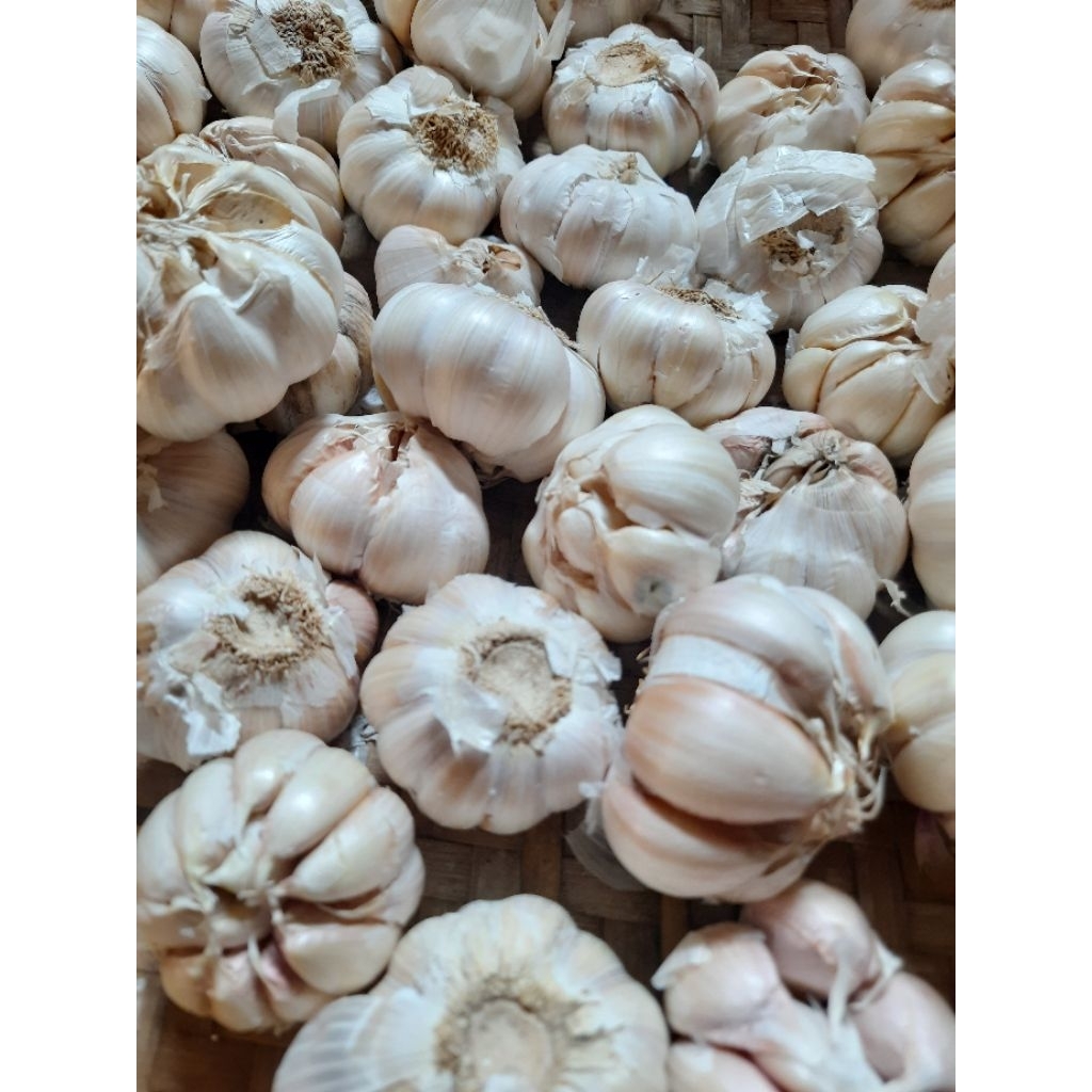 

Bawang Putih biasa kiloan