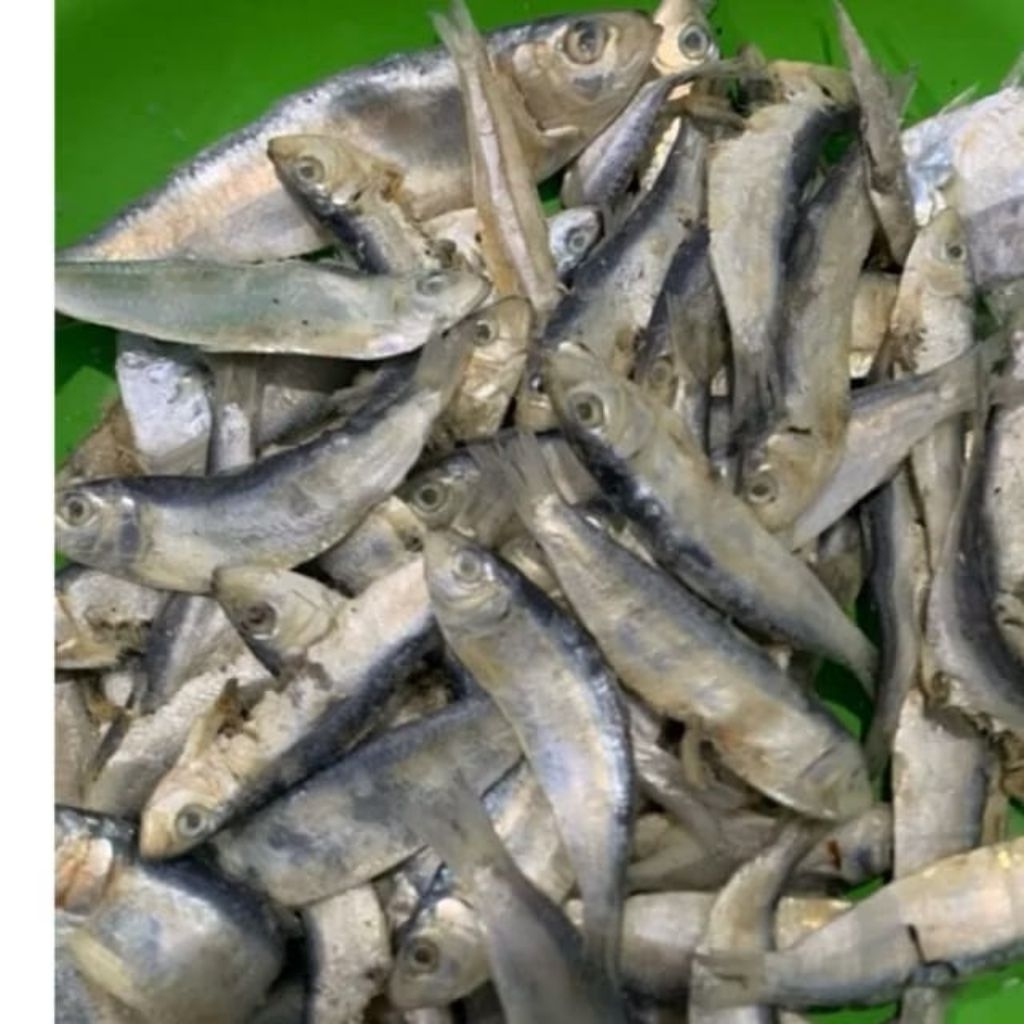 

ikan asin campur-campur/ikan asin semenit // ikan jui