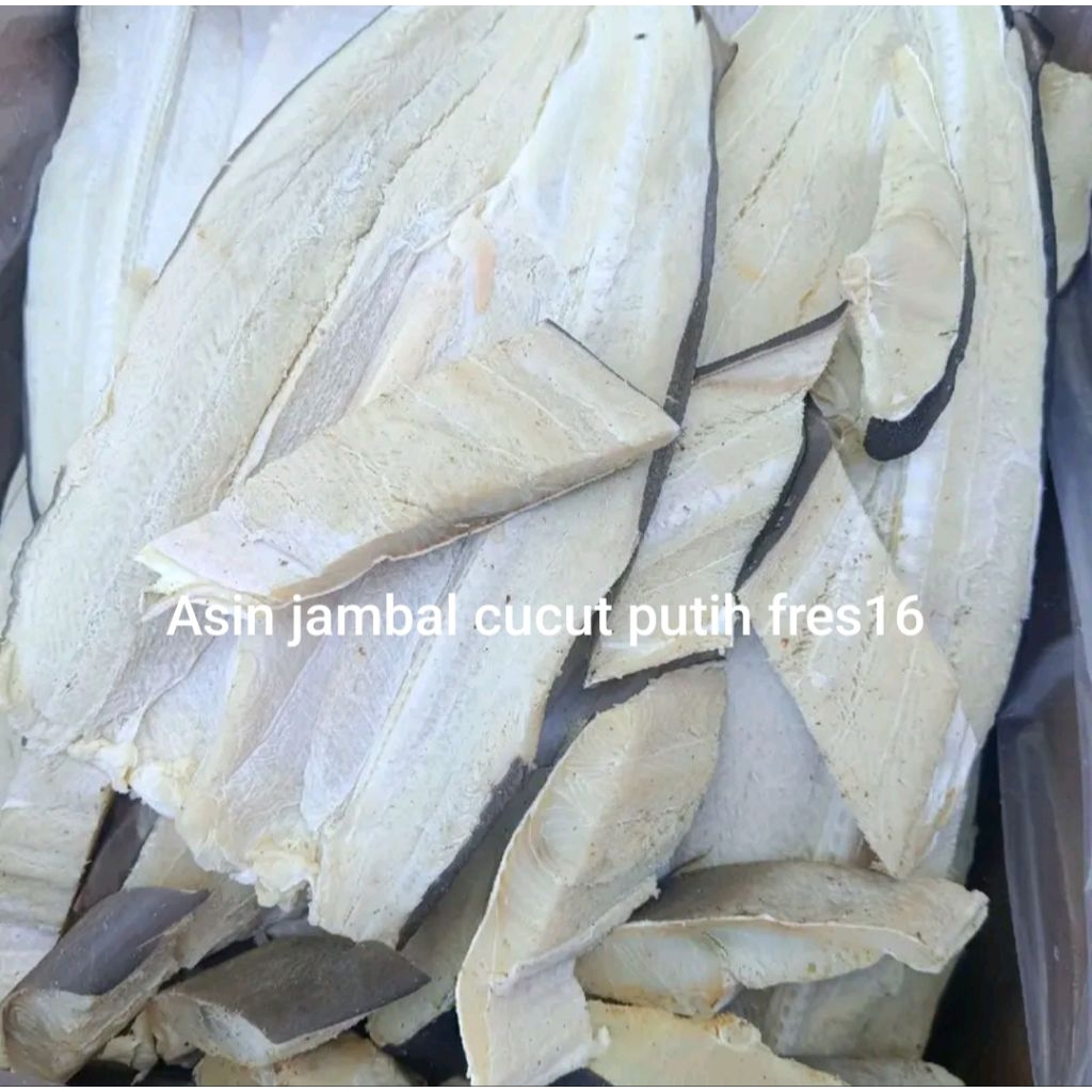 

Ikan Asin Jambal Cucut Putih fres16