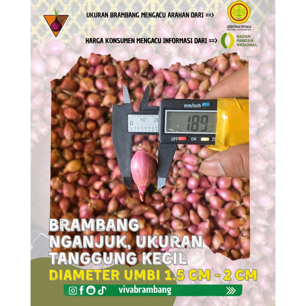 

Bawang Merah Nganjuk BESEK BAMBU Tanggung Kecil 1 kg