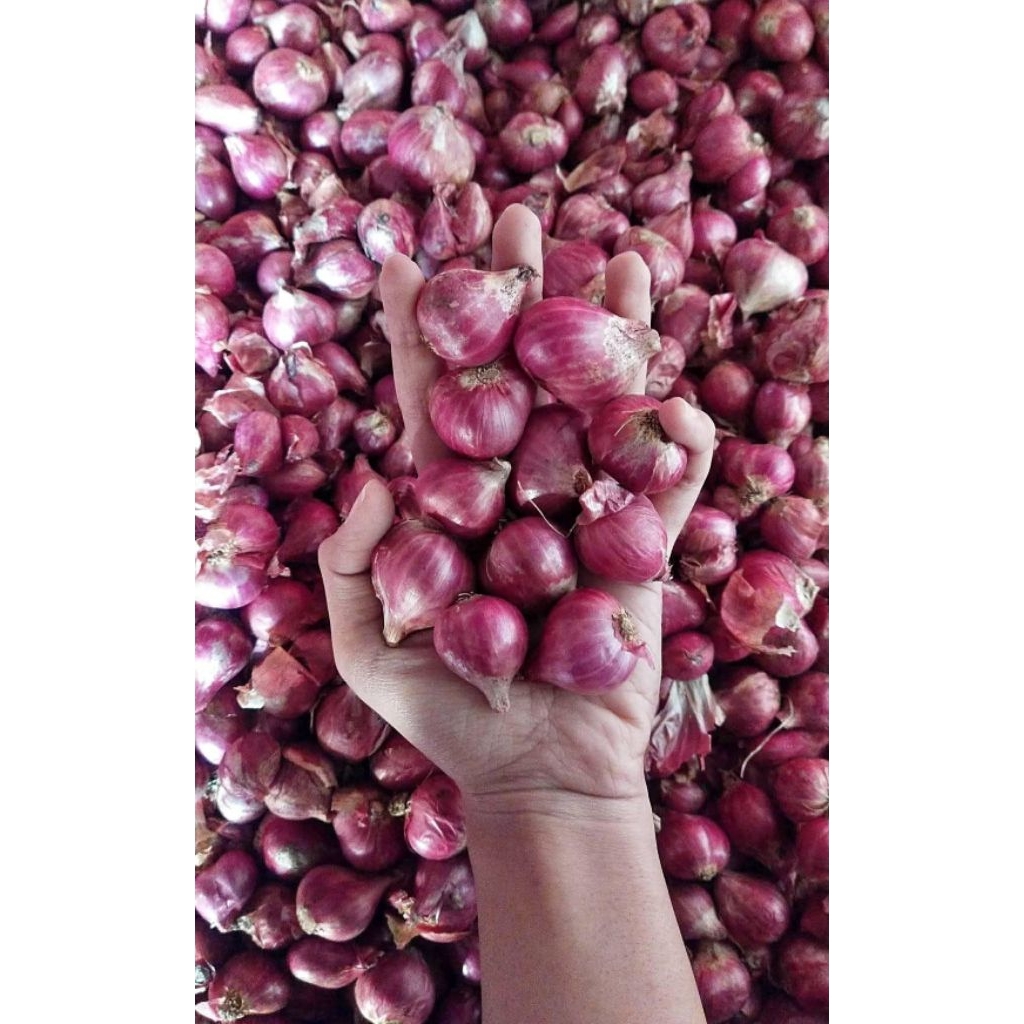 

Bawang Merah Lokal Fresh
