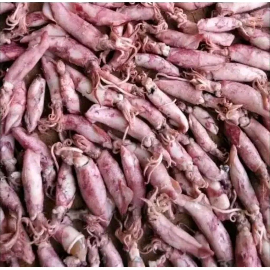 

Ikan Asin Cumi sotong fres16