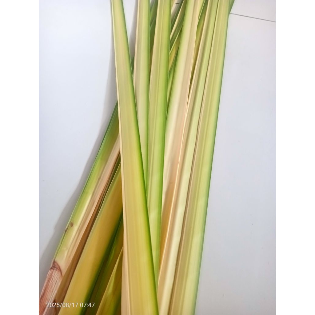 

JANUR KELAPA 250/ LEMBAR