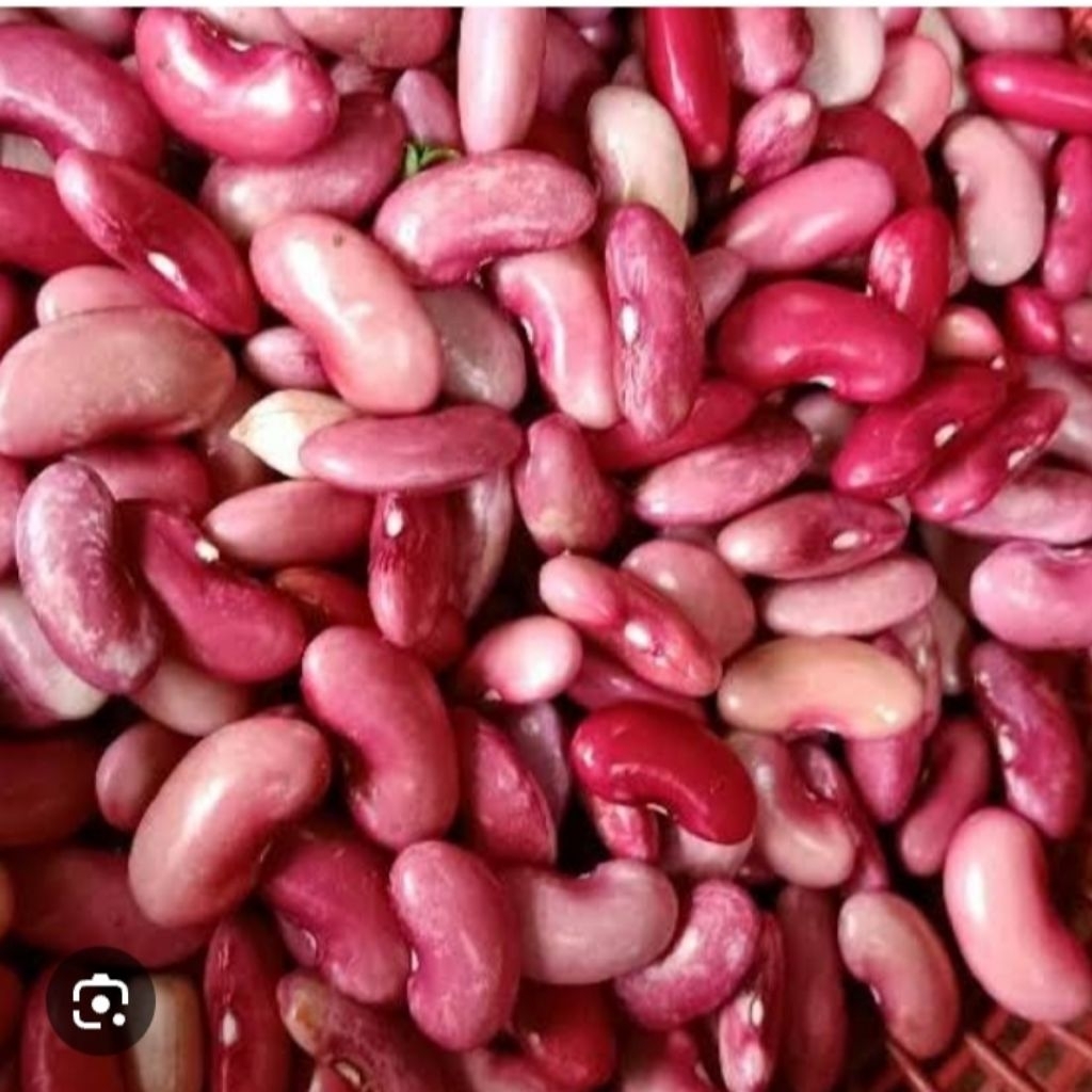 

250g kacang merah