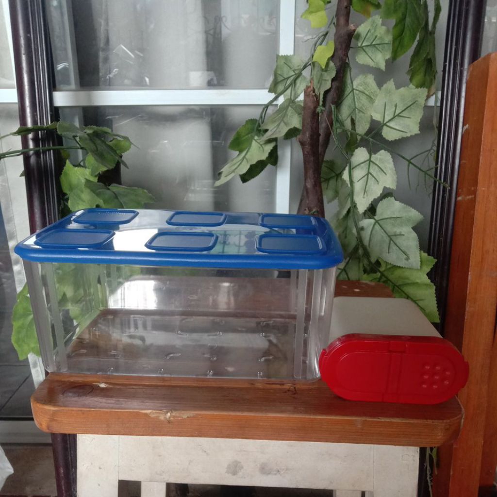 1 set tempat ikan plus wadah garam dan gula