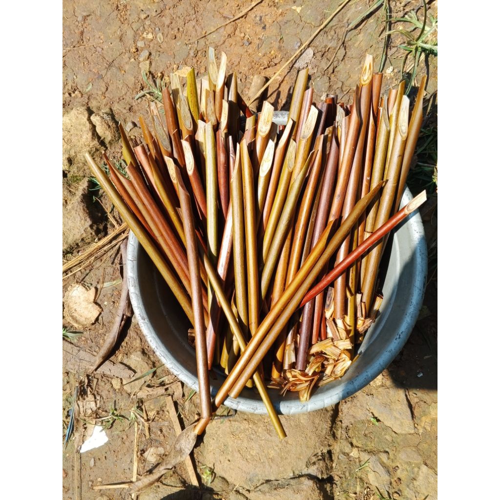 

pena kaligrafi,pakis handam 1pcs sudah raut