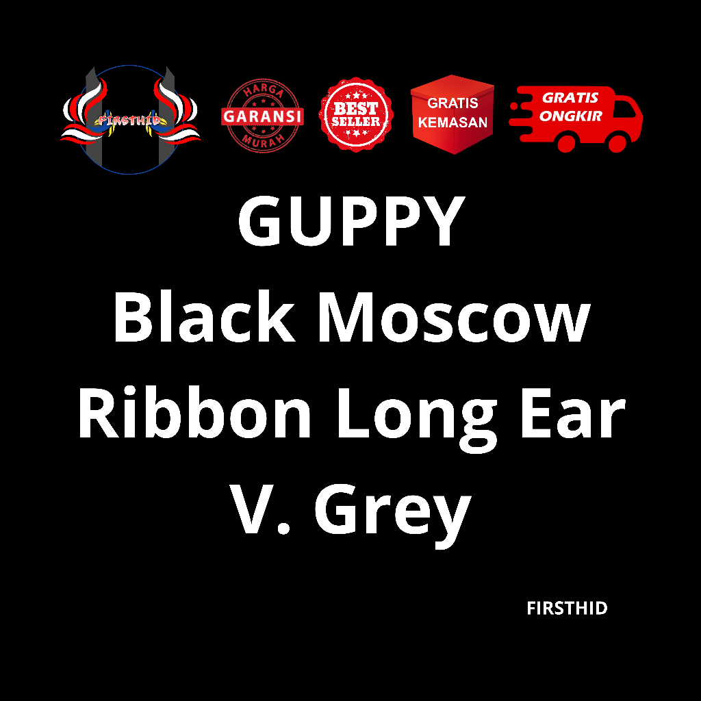(BEST SELLER) Aksesoris Akuarium GUPPY Black Moscow Ribbon Fin C Long Ear penghias kolam
