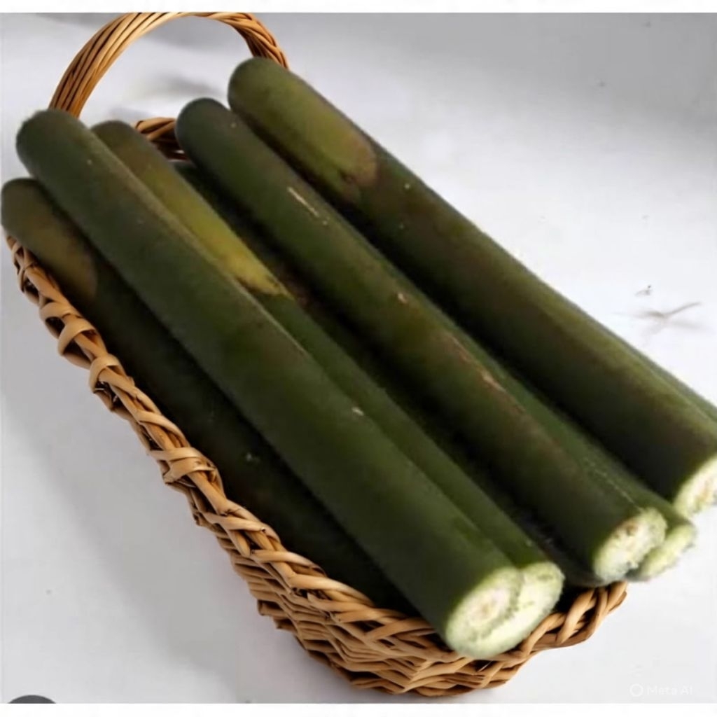 

kecombrang segar 1kg fres langsung petik dari kebun