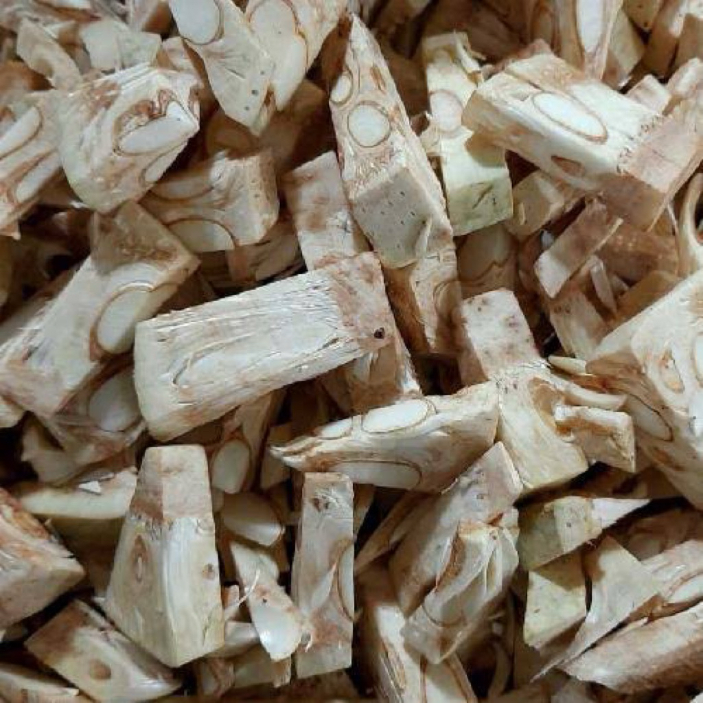 

Nangka Muda Gori - Sayur Fresh Solo