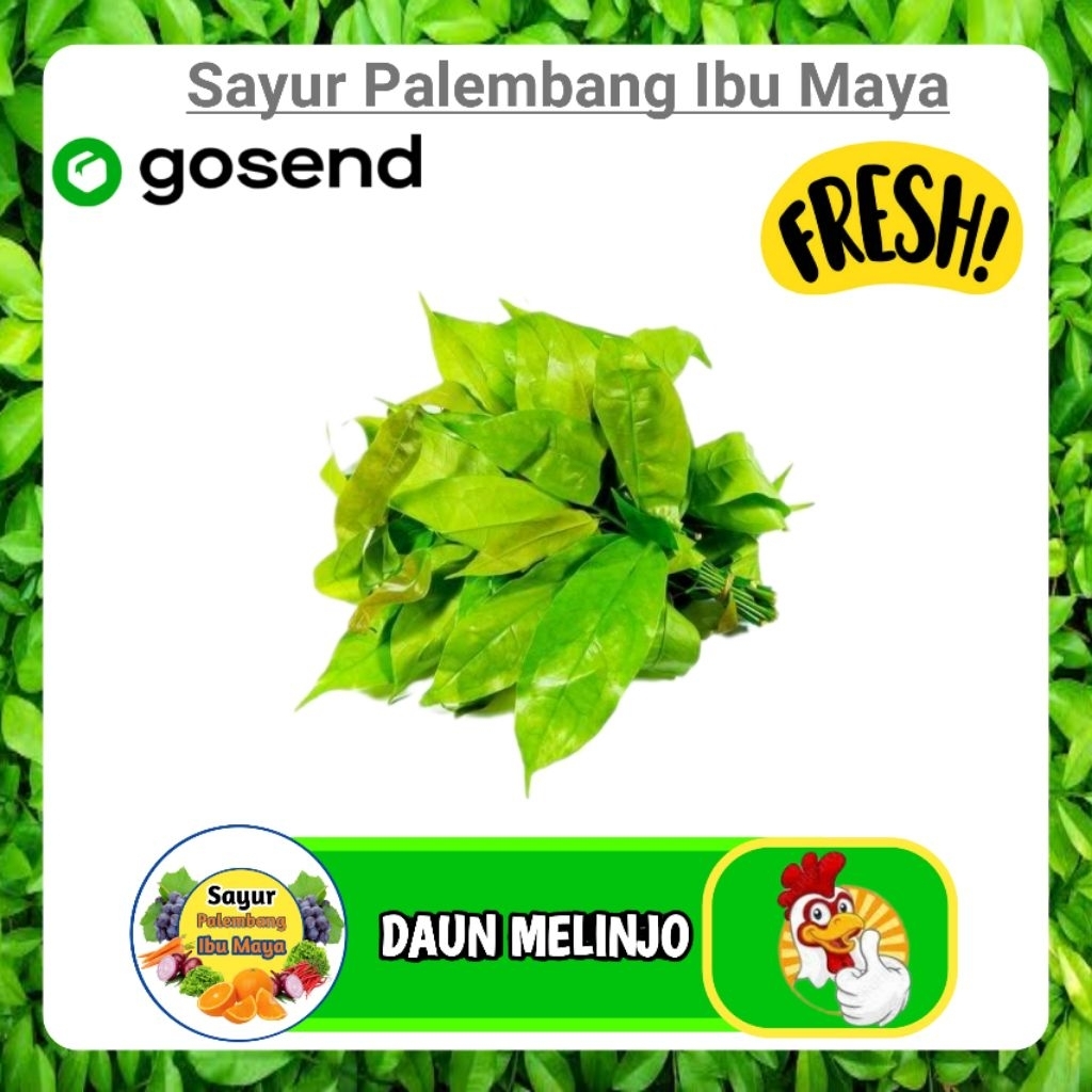 

Daun Melinjo - Sayur Palembang