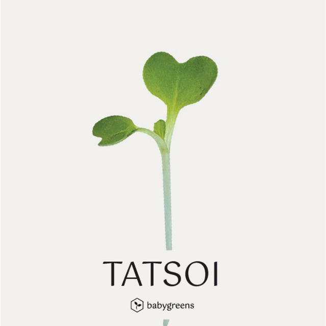 

[BABYGREENS] Tatsoi Microgreens - 30 gr