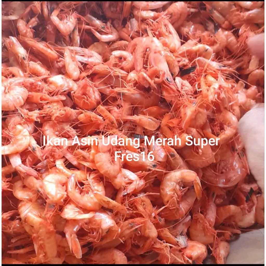 

Ikan Asin Udang Merah Super fres16